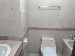 Tanglin Regency (D10), Condominium #602068951